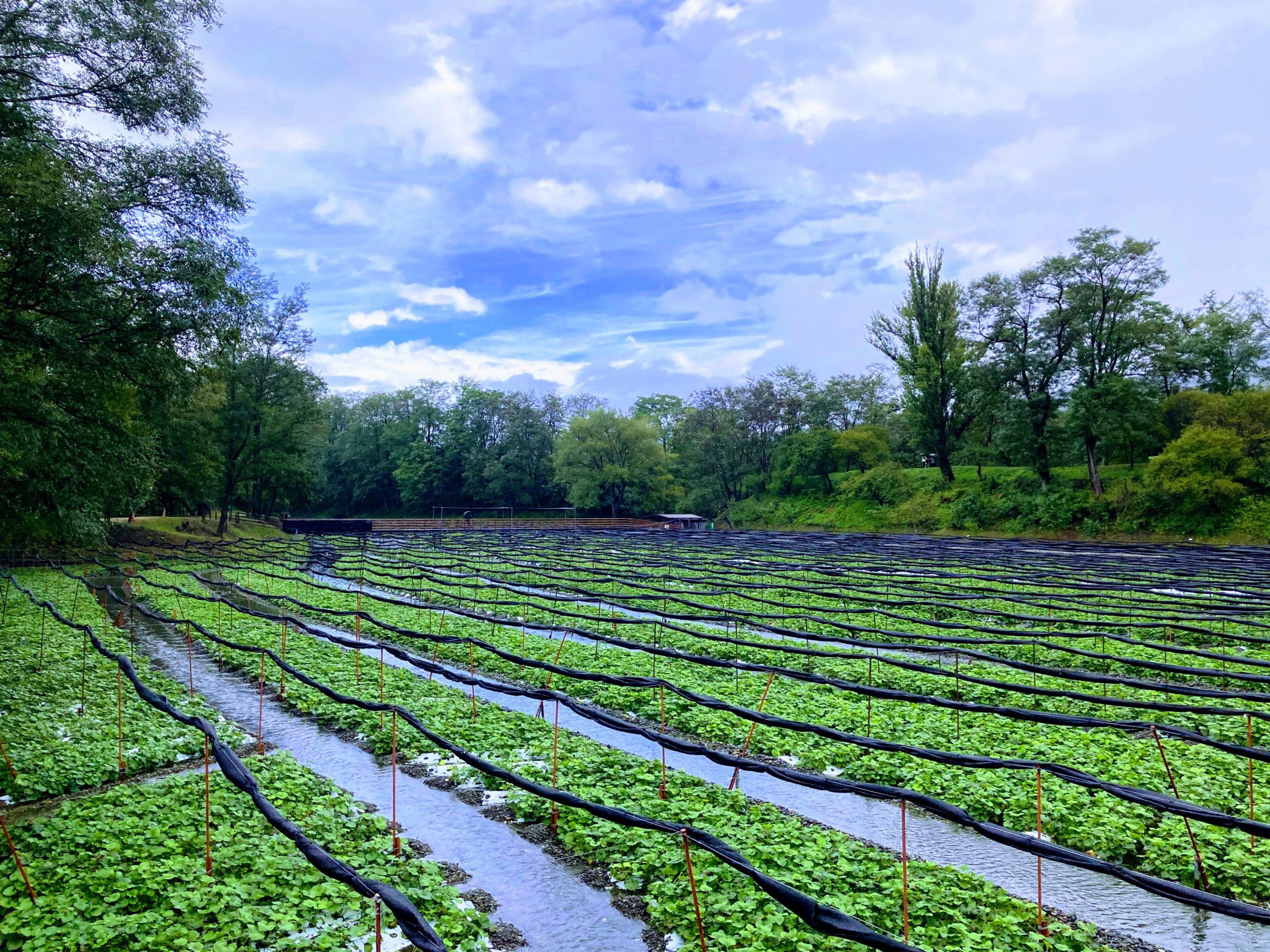 安曇野市の紹介